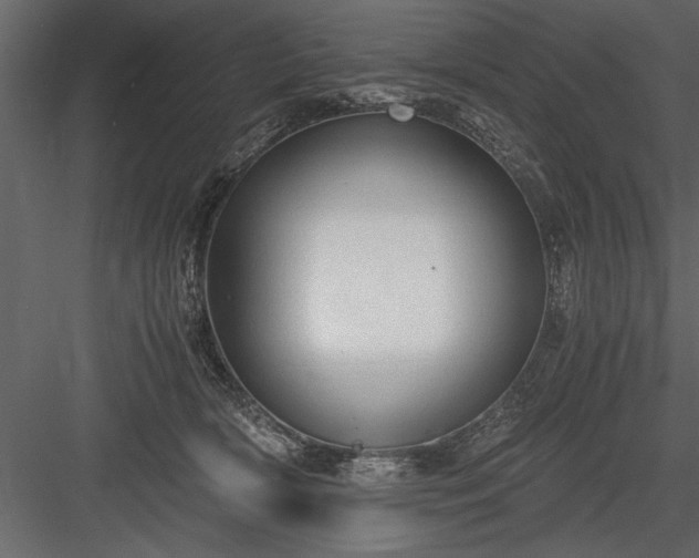 X0000084000418200702232143