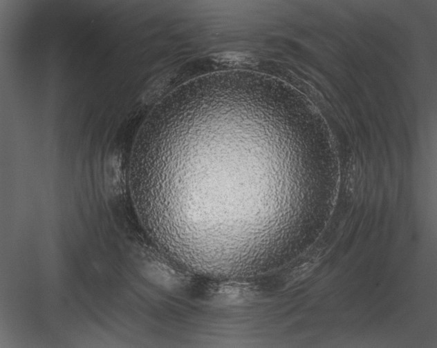 X0000084000420200702232143