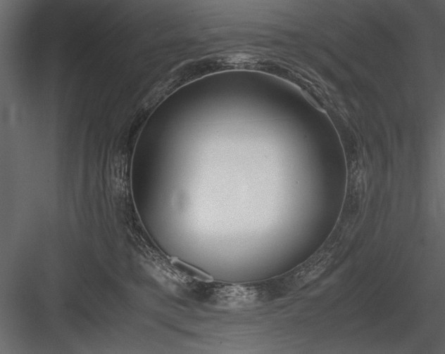 X0000084000421200702232143