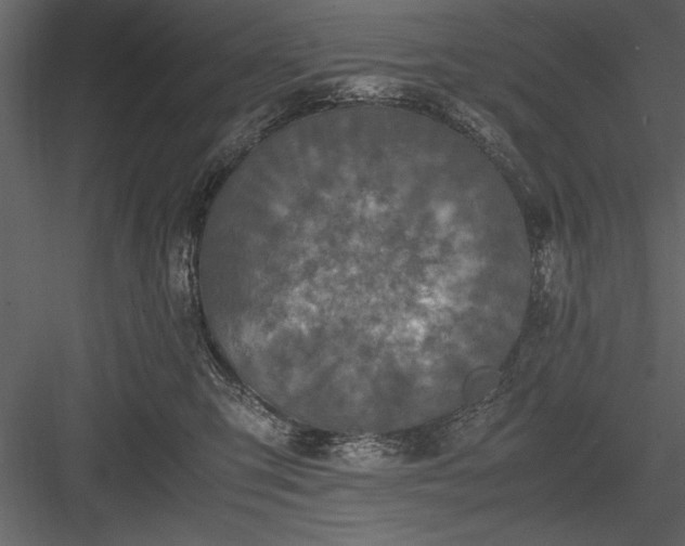X0000084000423200702232143