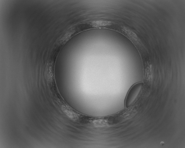 X0000084000426200702232143