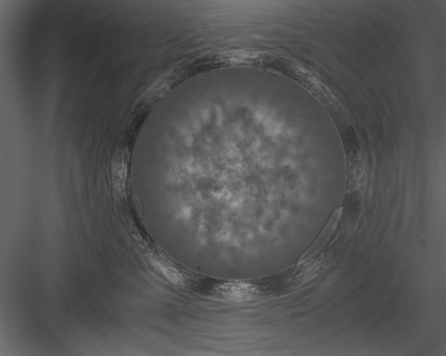 X0000084000427200702232143