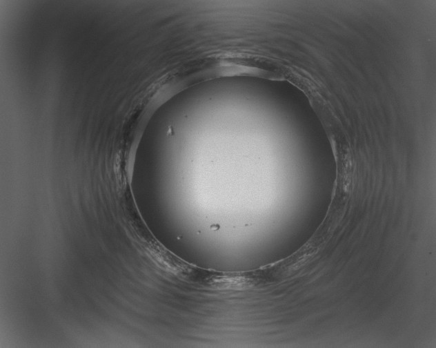 X0000084000428200702232143