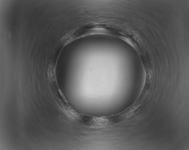 X0000084000429200702232142