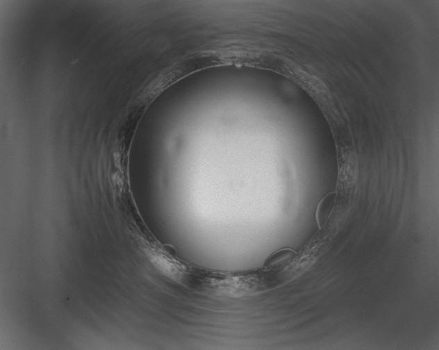 X0000084000430200702232142