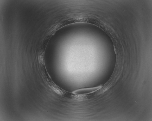X0000084000432200702232142