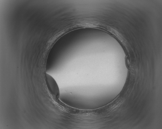 X0000084000433200702232142