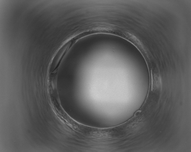 X0000084000435200702232142