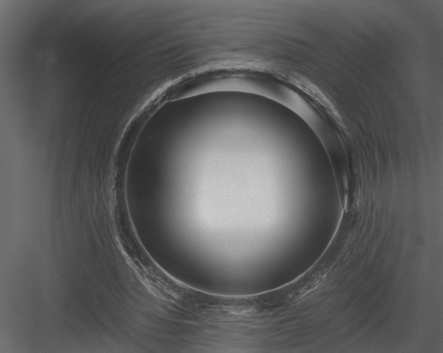 X0000084000436200702232142