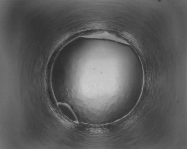 X0000084000439200702232142