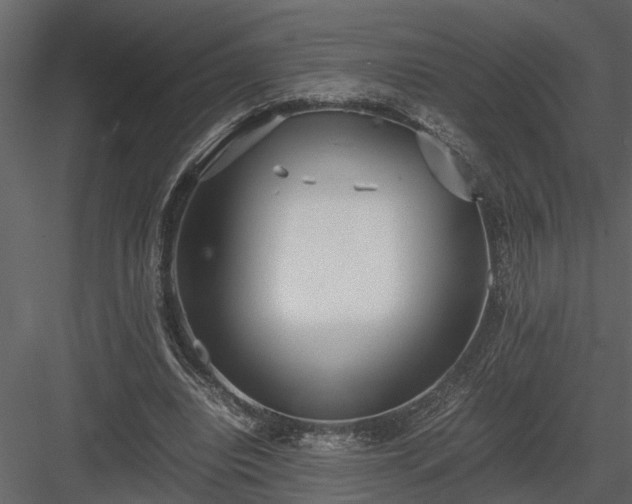X0000084000440200702232142