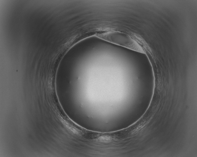 X0000084000441200702232142