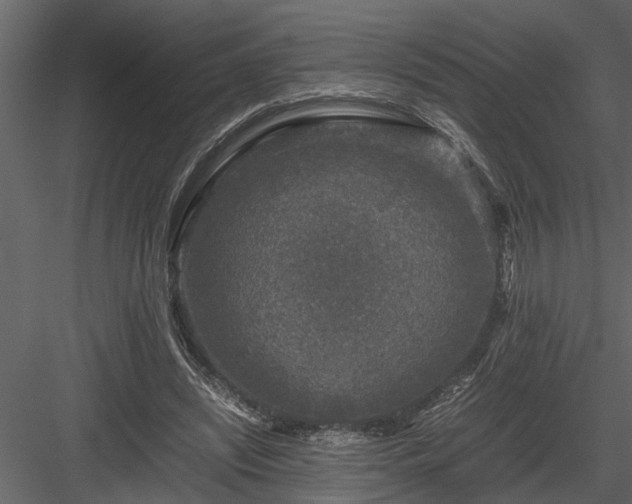X0000084000444200702232142