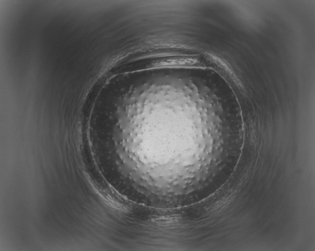 X0000084000447200702232142