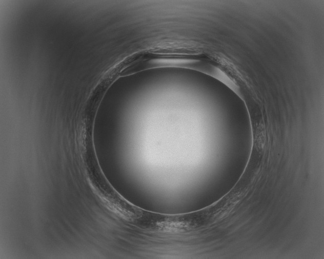 X0000084000448200702232142