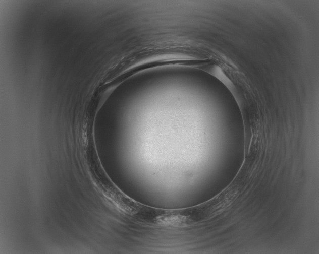 X0000084000452200702232142