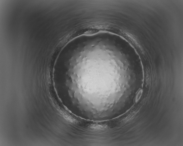 X0000084000453200702232142