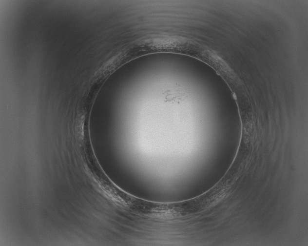X0000084000454200702232142