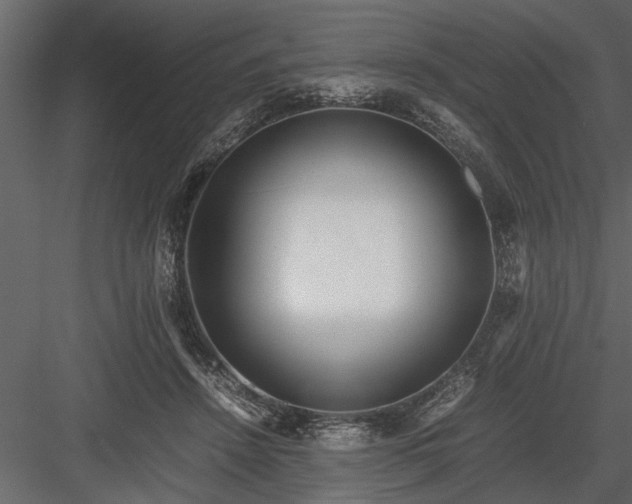 X0000084000456200702232142