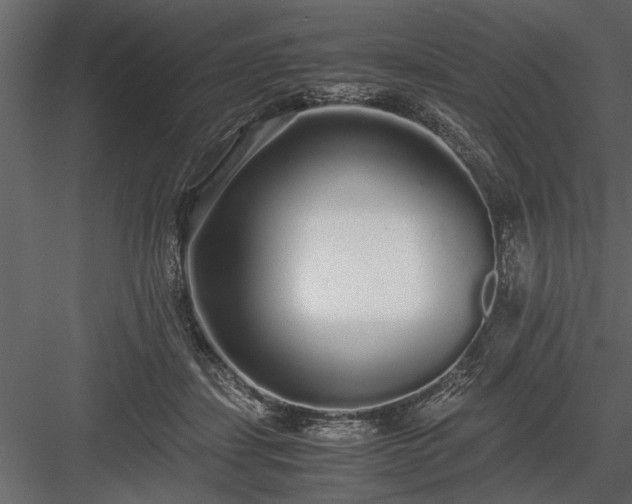 X0000084000459200702232142