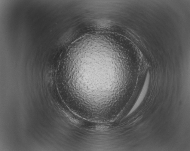 X0000084000462200702232142