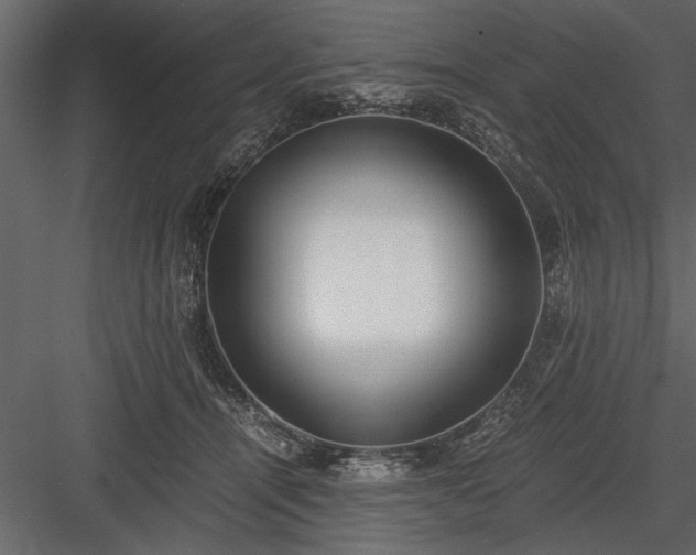 X0000084000464200702232142