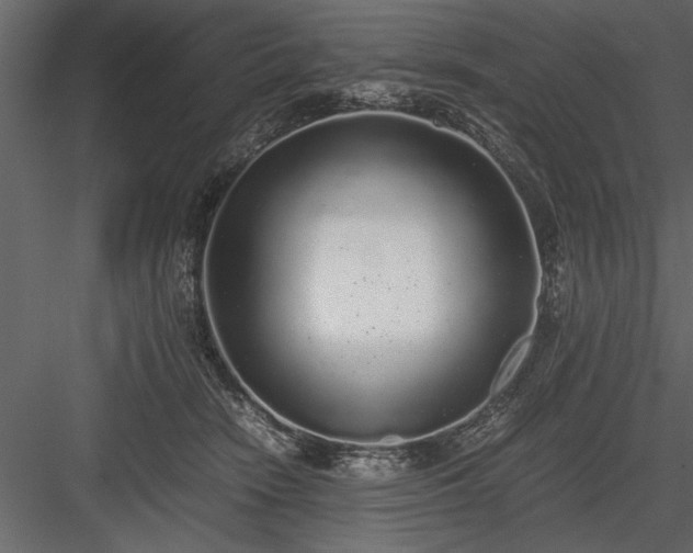 X0000084000466200702232142