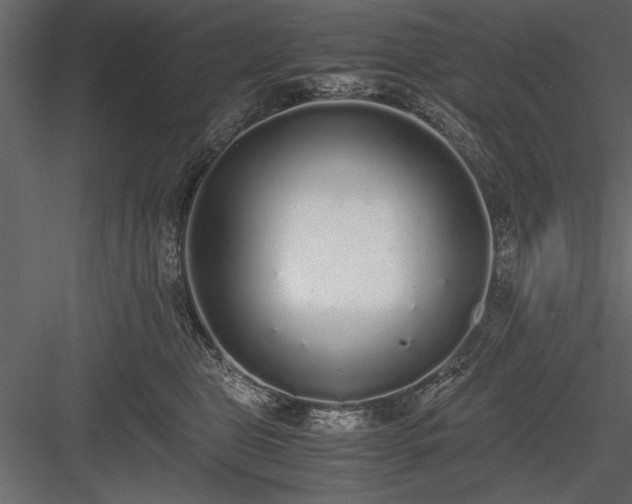 X0000084000469200702232142