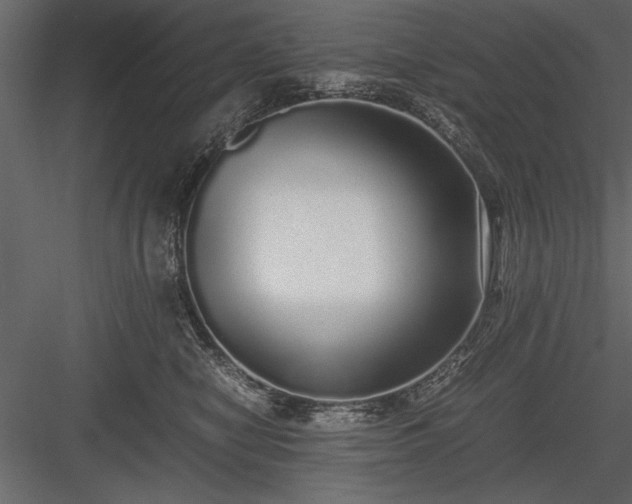 X0000084000470200702232142