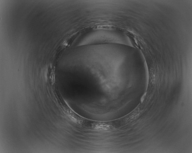 X0000084000471200702232142