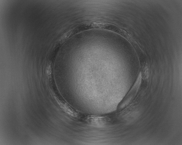 X0000084000472200702232142