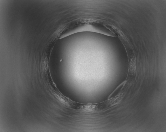 X0000084000474200702232142
