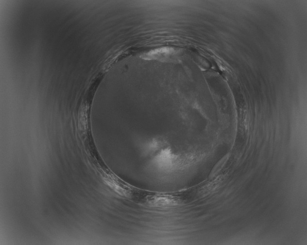 X0000084000475200702232142
