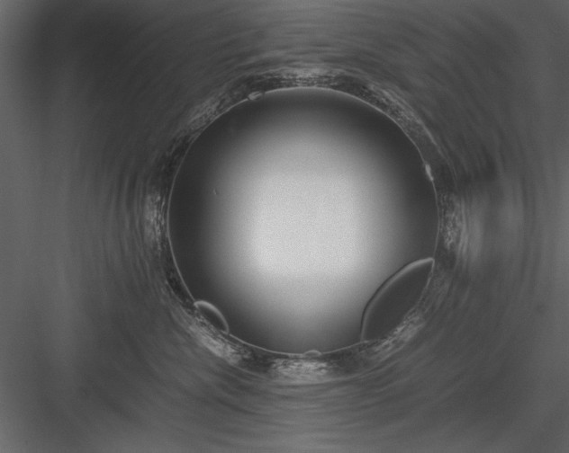 X0000084000476200702232142