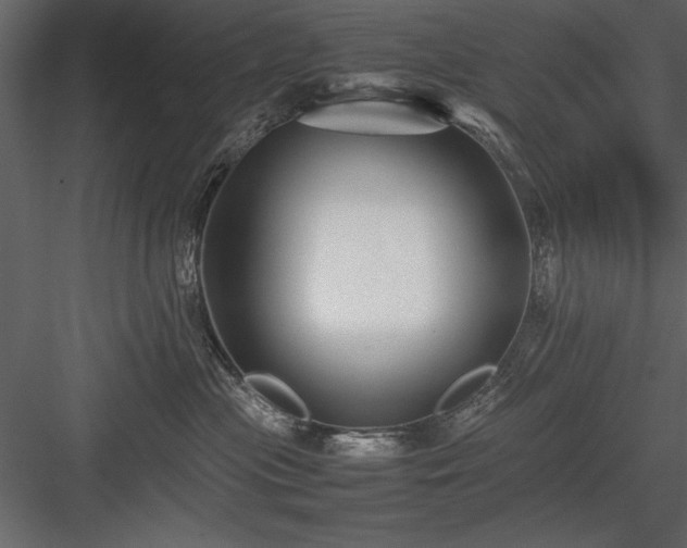 X0000084000477200702232142