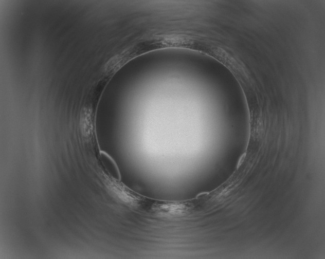 X0000084000478200702232142