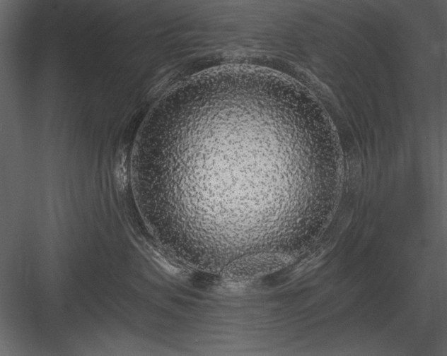 X0000084000479200702232142