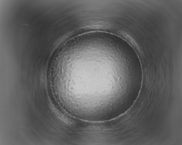 X0000084000482200702232142
