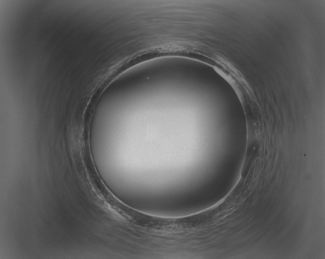 X0000084000485200702232142