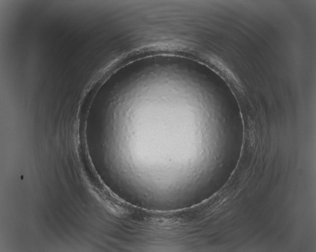 X0000084000486200702232142