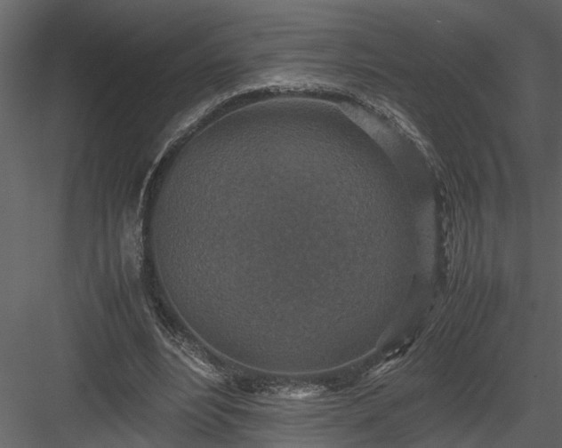 X0000084000488200702232141