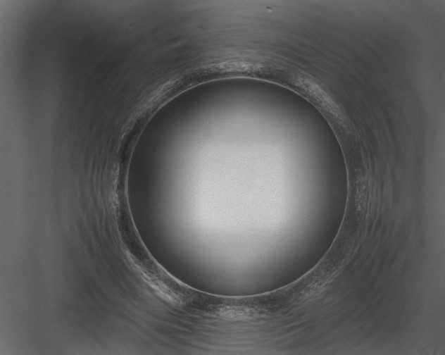 X0000084000490200702232141