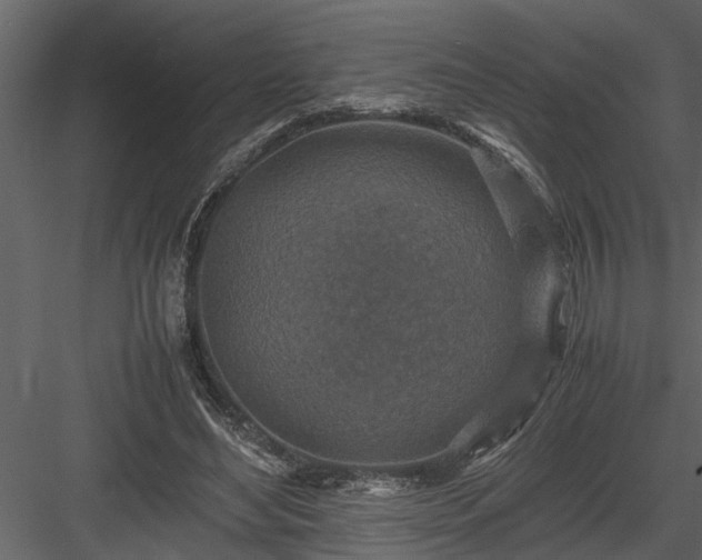 X0000084000492200702232141