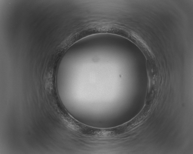 X0000084000497200702232141