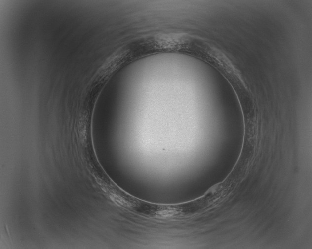 X0000084000505200702232141