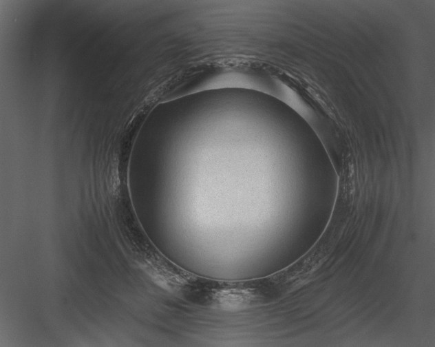X0000084000508200702232141