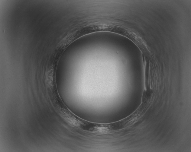 X0000084000509200702232141