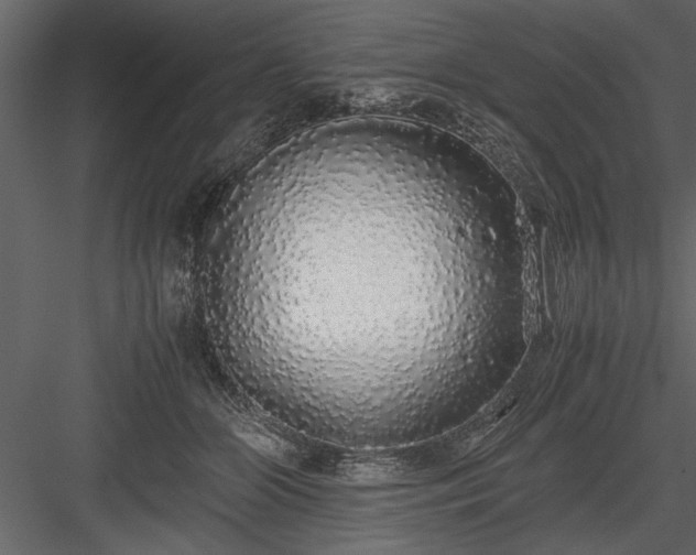 X0000084000510200702232141