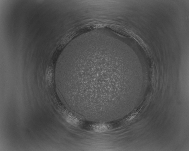X0000084000513200702232141