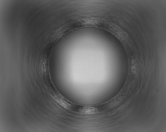 X0000084000514200702232141